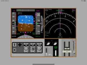 JET77 RAW ILS screenshot #6 for iPad