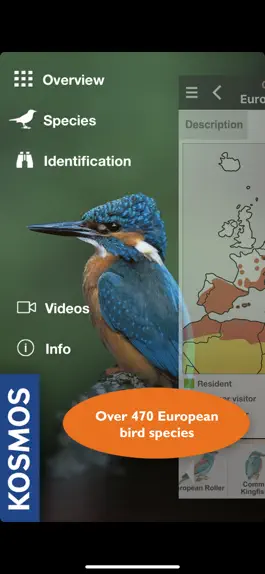 Game screenshot Birds of Europe Guide mod apk