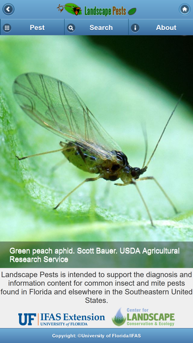 Screenshot #2 pour Landscape Pests