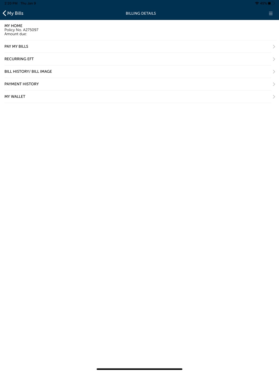 iPad screenshot