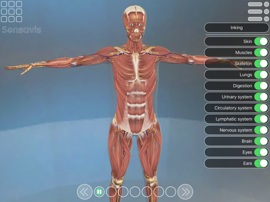 Screenshot #5 pour Sensavis Visual Learning Tool