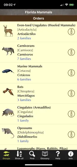 Game screenshot Florida Mammals hack