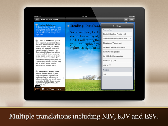 Bible Promises iPad screenshot 4 - Reference app