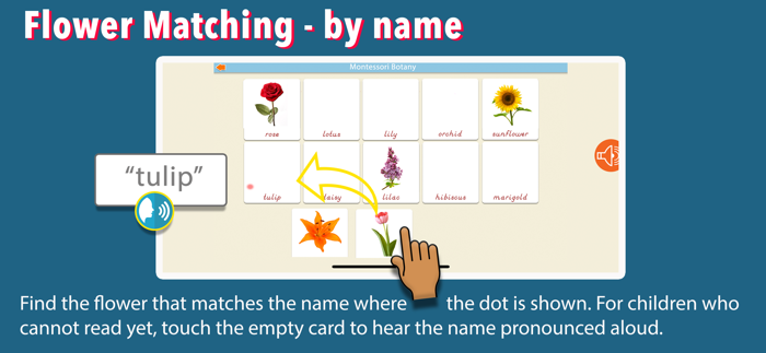 Learn Botany - Parts of Plants