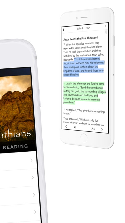 Davenport Naz screenshot-4