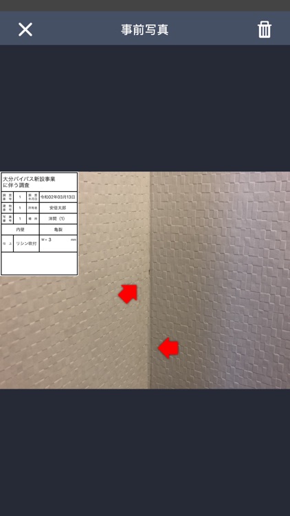 調査員ぷらす screenshot-3