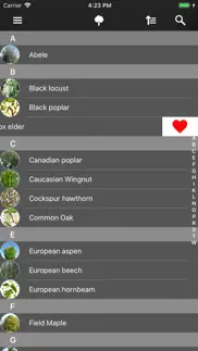 deciduous trees 2.0 problems & solutions and troubleshooting guide - 3