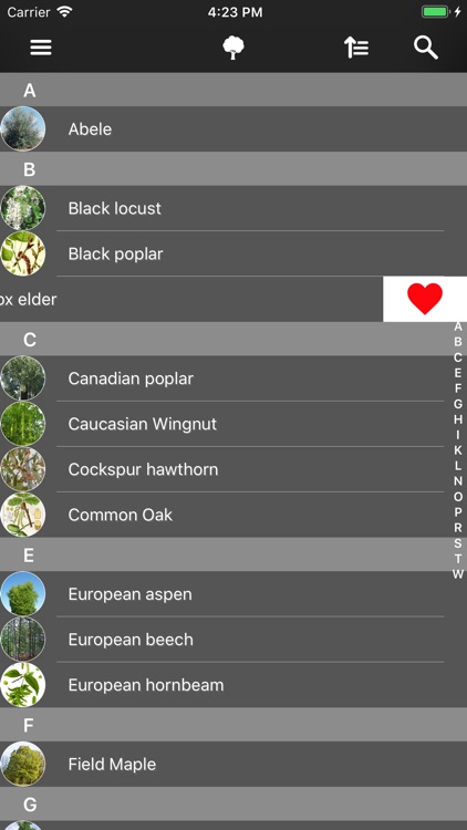 Deciduous Trees 2.0 screenshot-7