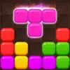 Puzzle Master - Block Game contact information