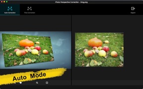 Photo Perspective Editor screenshot