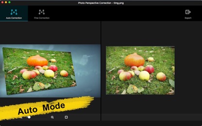 Photo Perspective Editor screenshot 4