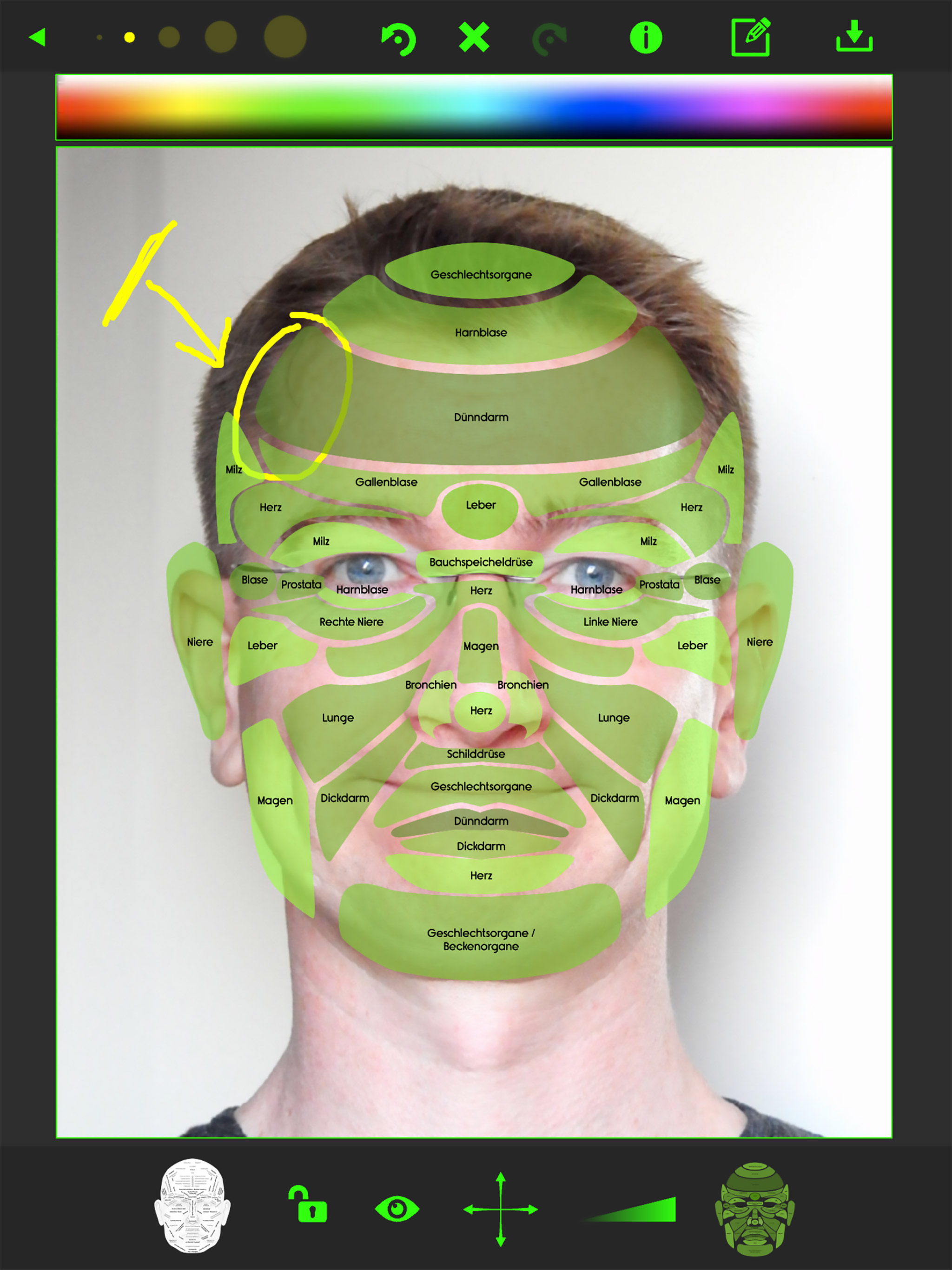 https://is1-ssl.mzstatic.com/image/thumb/Purple123/v4/64/81/42/6481422a-af6e-8096-e124-a97bf787cbd7/pr_source.jpg/2048x2732.png