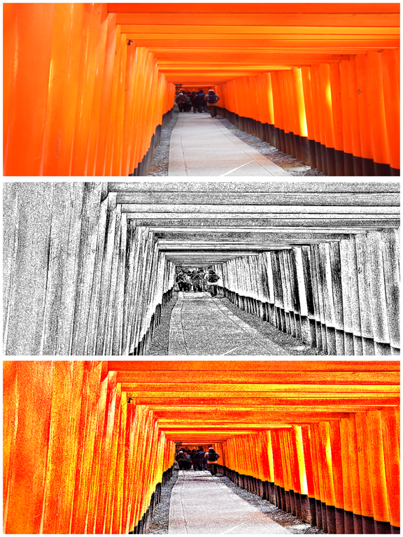 Copper Engrave  Etchings Image iPad screenshot 4 - Photo & Video app