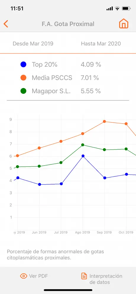Magapor