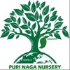 Puri Naga Nursery