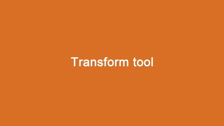 transform tool-Programmer dev