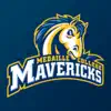 Medaille Mavericks problems & troubleshooting and solutions