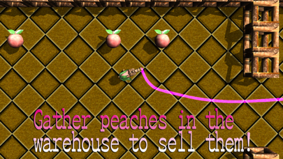 Screenshot #2 pour Momo's Peach Festival Sale