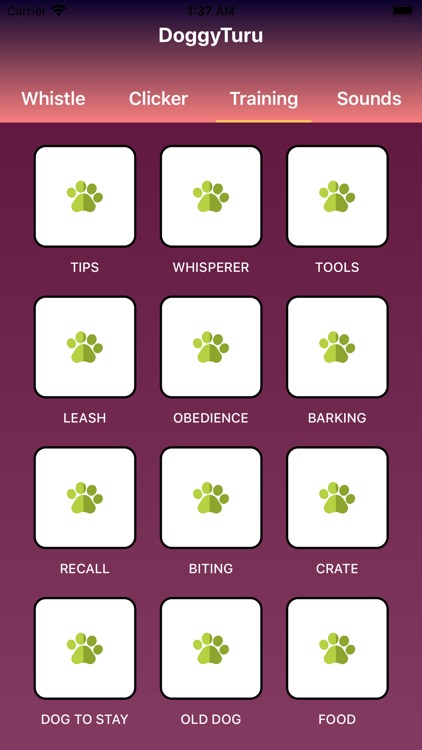 DoggyTuru screenshot-4