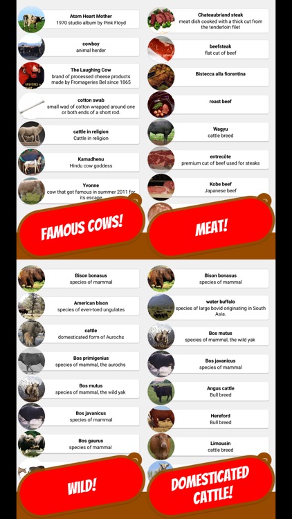 COW & BOVINE Quiz screenshot-3