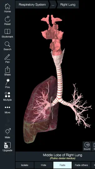 Скриншот Essential Anatomy 5 на iPhone 3