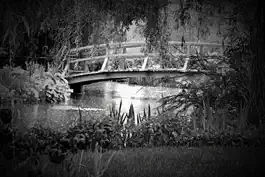 Game screenshot Dramatic Black & White hack
