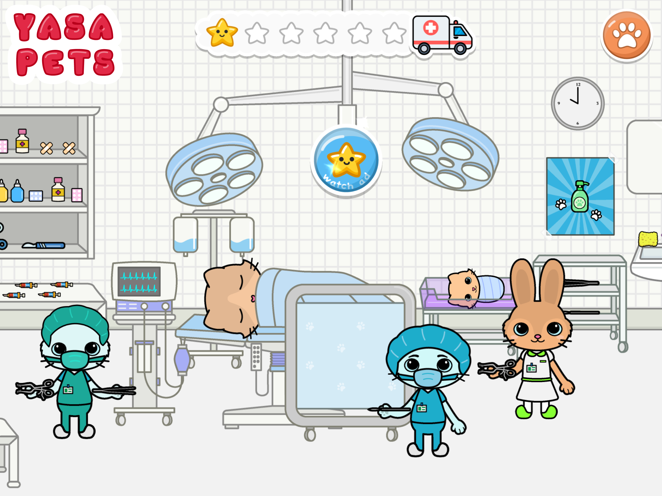 Yasa Pets Hospital