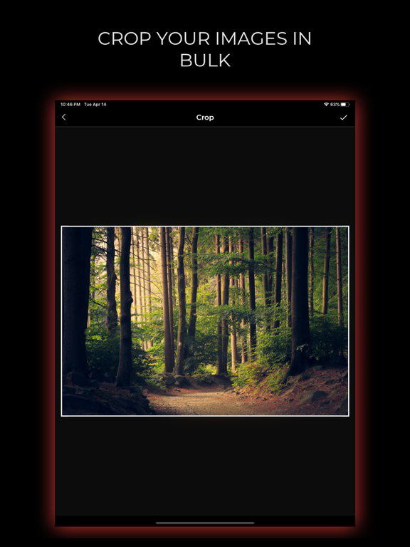 Bulk Image Editor iPad screenshot 5 - Photo & Video app
