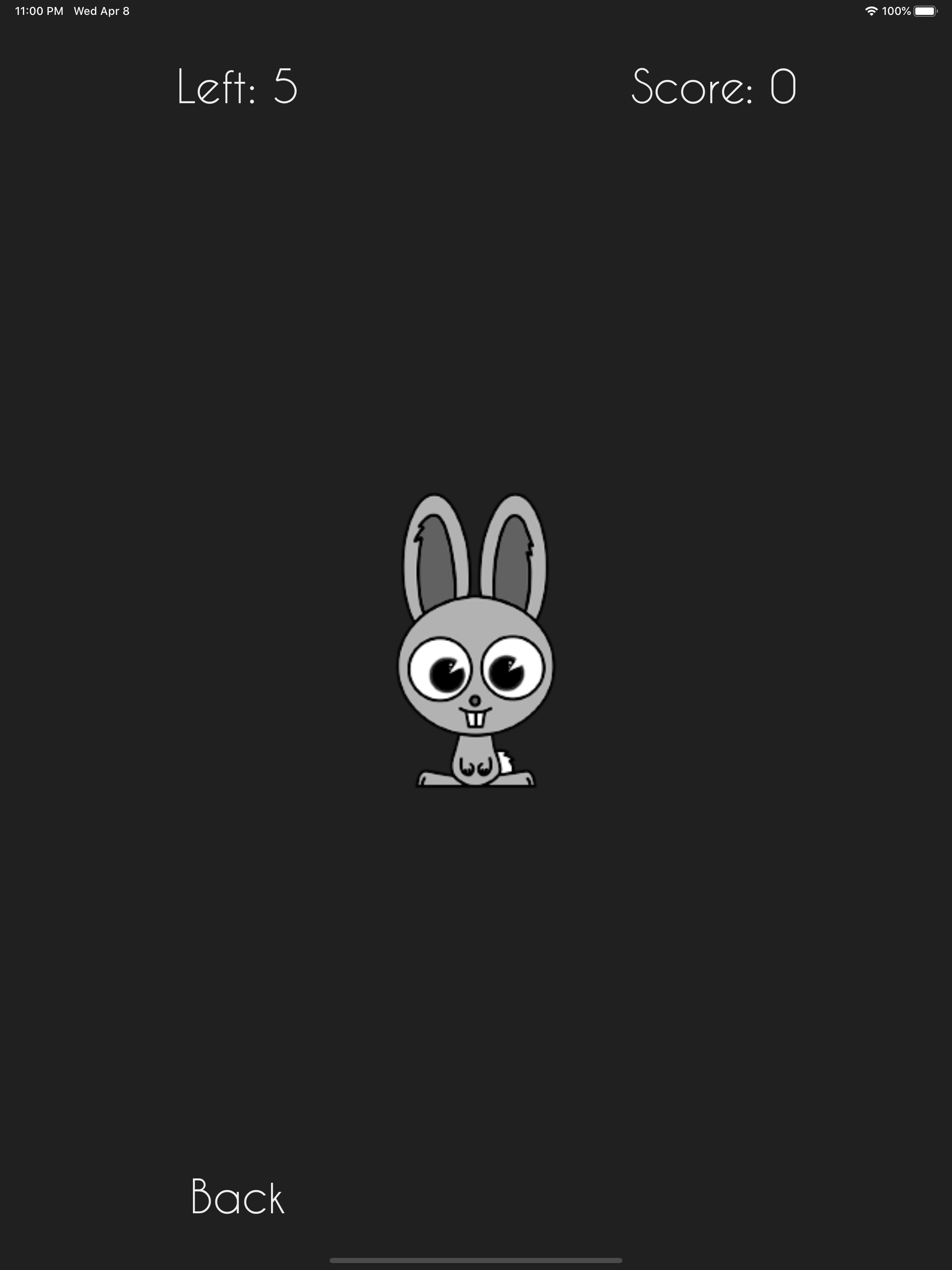 Hit The Bunny