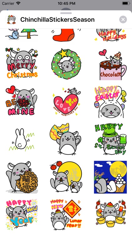 Chinchilla Minny Seasons