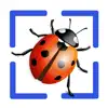 Bug Identifier App contact information
