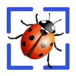 Bug Identifier App App Cancel