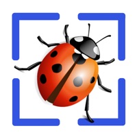 Bug Identifier App logo