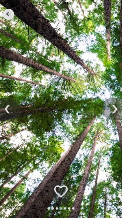 Art of Mood screenshot-4