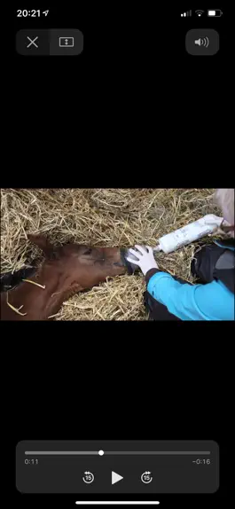 Game screenshot Foal CPR mod apk