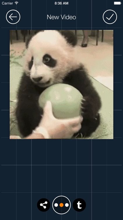 GifVid - GIF to Video Convert