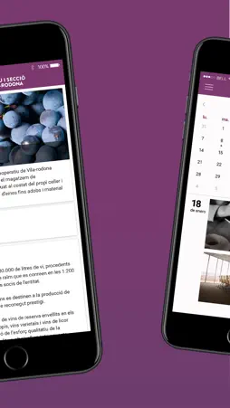 Copvilar screenshot 3