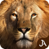 Safari: Online Evolution