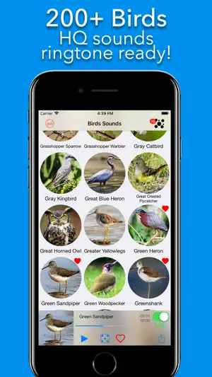 200+ Sounds of Birds screenshot 1