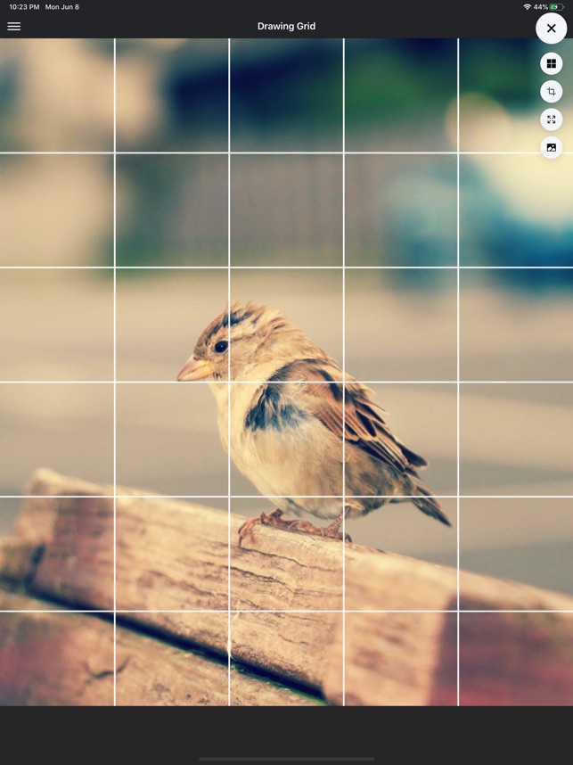 Grid # - Add grid on image on the App Store