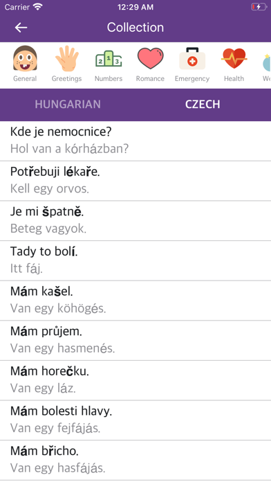 Hungarian Czech Dictionary screenshot 2
