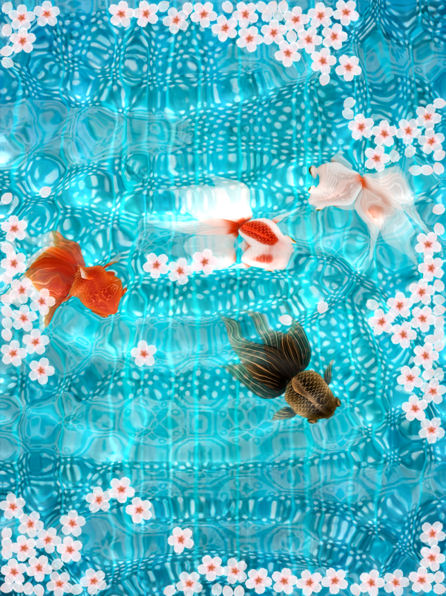 Wa Kingyo - Captura de tela do Lago de Peixes Dourados