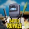 Pixel Destruction: 3D Royale