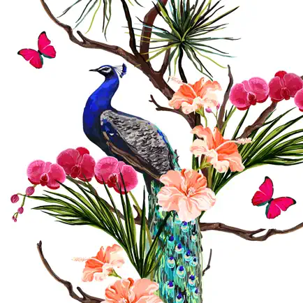 Peacock Stickers Читы