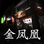 孙美琪疑案:金凤凰 App Contact