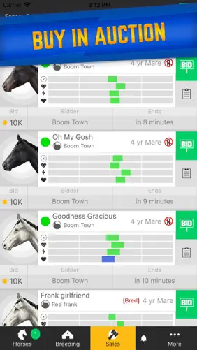 Stable Champions screenshot 6