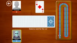 Game screenshot Cribbage JD apk