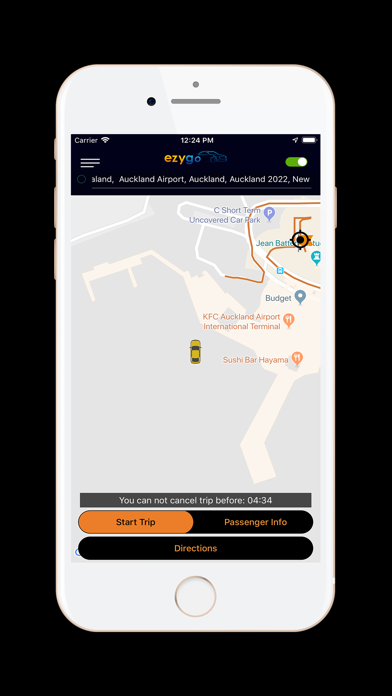 Ezygo Drivers Screenshot