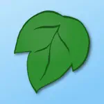 Tree of Life - Family Tree App Negative Reviews