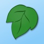 Tree of Life - Family Tree app download